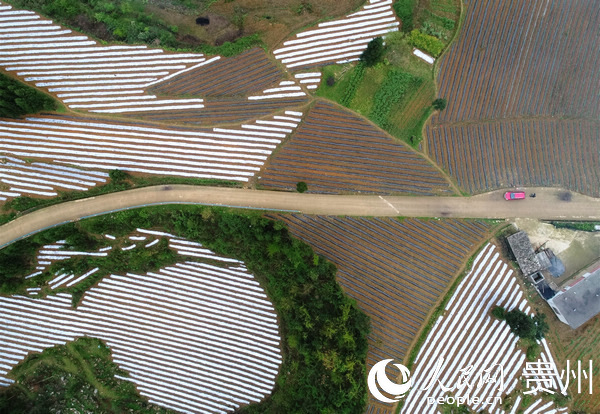 �󷽿h��Ԫ�l(xi��ng)���d�崨���M�����������ظ�Ĥ��Ԭ�� �z