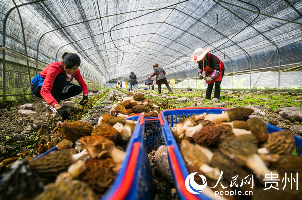 �󷽿hư�����Ǿ����ش������ڲ�����Ǿ�����Ӗ�F �z