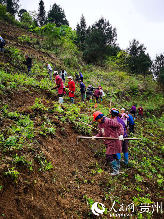 ���Ͳ���ӄ�(w��)���Ĵ���