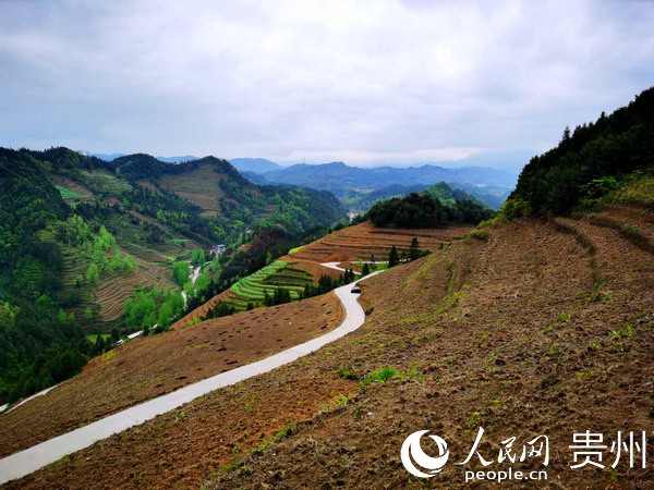 �Ͳ����һ��