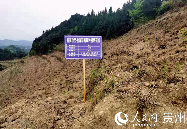 �f���Ͳ��J(r��n)�I(l��ng)��