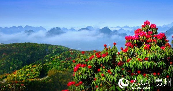 ������N��������ί�������ṩ��