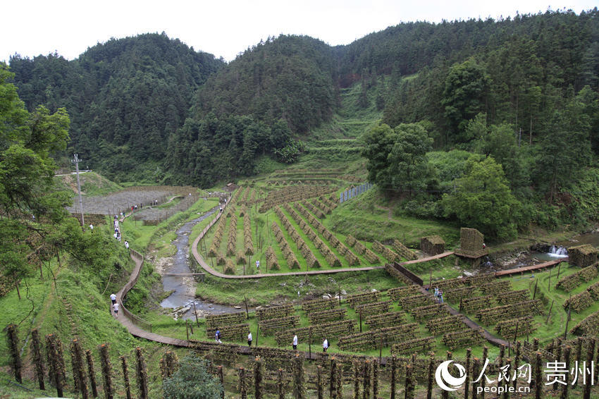 ʯ�����_���S����ء����� �z 