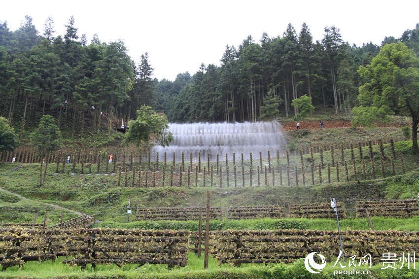 ʯ�����_���S����ء����� �z