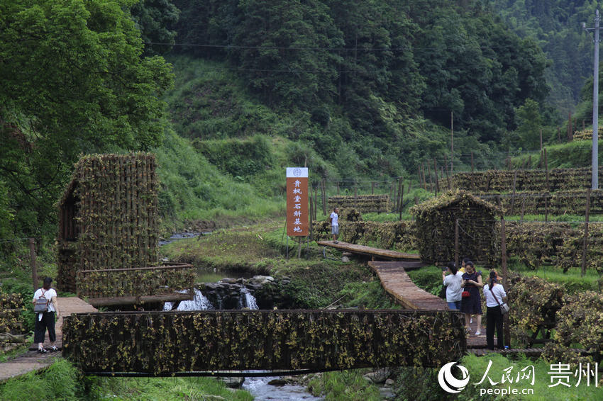 �οͅ��^�\���h�FƤʯ���Nֲ���ء����� �z