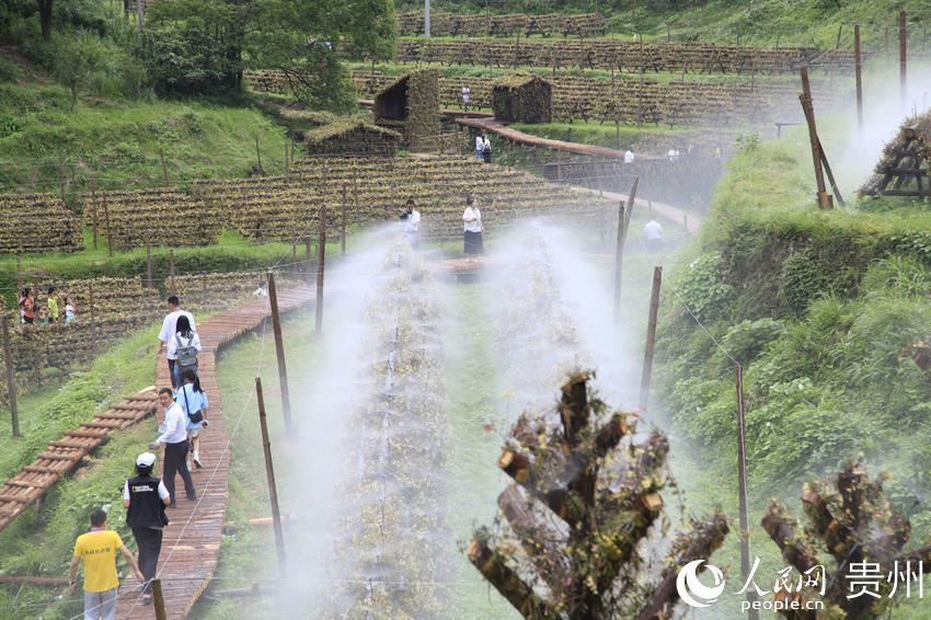 �οͅ��^�\���h�FƤʯ���Nֲ���������� �z