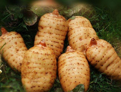 ���r�Ċ�ɽ���� ��ˎʳͬԴ�������®a�I朗l����������           ȫ���˴�����Ӗ�A����혴󽡿��a�I�lչ�����r  ���Ӗ�A����혴󽡿��a�I�̙C�o�ޣ���I���d��һ�����ԡ��t����֧�εĽ����tˎ�a�I���档�҂����e�O�lչ�߶ˡ���ɫ�t�����ӿ�lչ��ˎ������ˎ��������ˎ�ͻ��Wˎ������������ˎ����     �F�ݽ��ꌢ�½�30��ʡ�����t���c����  ����,�F��ʡ���tˎ������ӡ�l��2020���ʡ�����t���c���ƽ��O�Ŀ��ʩ������,���_���½�30��ʡ�����t���c����,�����_����՗l����ʡ�����t���c�����M����ա���    �����B�����D���ɽ����tˎ�a�I�lչ����      �a�I�lչ���ڹ��d���󽡿��a�I���������a�I�y���󼰵Įa�I���ȡ������,�F�ݴ󽡿��a�I�ʬF��Խ�lչ�B��,���Ŀ���O��ƽ�_���O���t���t�ġ��������Ρ��Nֲ��ˎ���\�ӽ����ȴ󽡿�ȫ�a�I��Ͻ݈��l��,�����ǿ��B���t�B�����w�����Ȯa�I��܊ͻ��,�ɞ�ȫʡ�󽡿��a�I��D���F......   