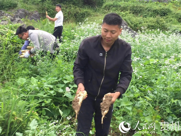 ����һ��