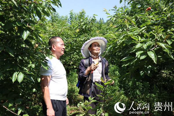 ����ָ��������o���Ҙ䡣�n�@�� �z