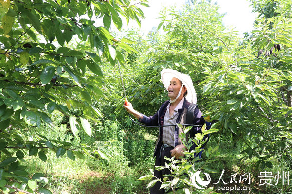 ���ČW�ڽo���Ҙ���x���n�@�� �z