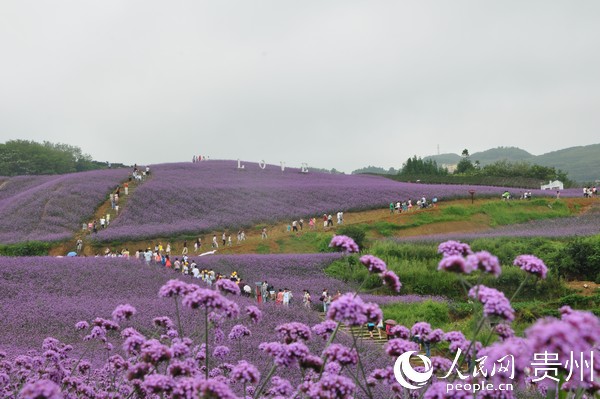 �F��ͩ���hɼƺ���^ӭ���ο͡�ͩ���h�zӰ�f�����D