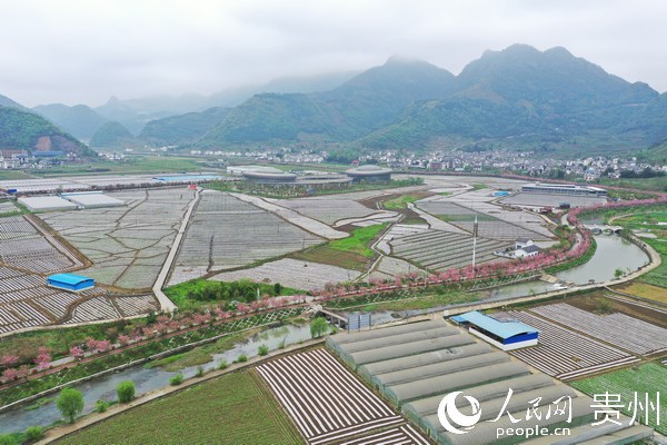 �F�݅R���^�������M�r��a�I�������������ɉ΅^������ɫ�a�I���R���^��ý�w���Ĺ��D