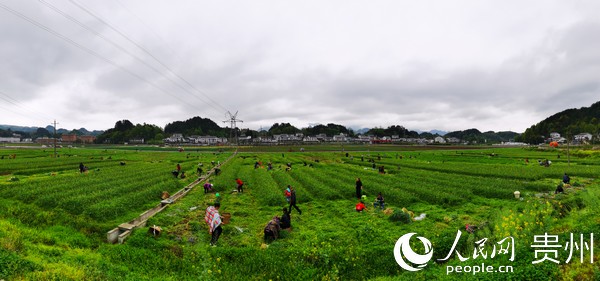 �F�݅R���^��������{���a�I�Y������������f�Ή΅^�Nֲ���磬��Q����߅Ⱥ���͘I�y�}���R���^��ý�w���Ĺ��D