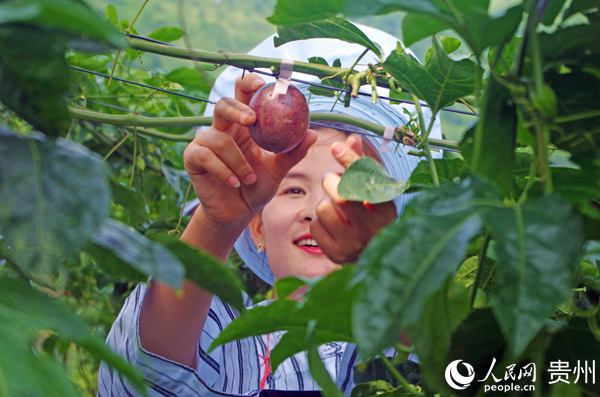 �F��ؑ�S���|���f�� ����С��            �F��ؑ�S���|���f�� ����С��         ����܇�g4000������Q���bӆ��һ������ɣ���₥����ġ�ʯ�^����������ȥ��9�£������ƴ����ė�₥�������g�c��򞷵�l���м{��Ӗһ�����wؚ�������k���ˏS��һ���ʂ䣬�ɂ�����ɫ�����]�ϵ���������܉�r������u����ӆ���J�p�������ϣ����R������؛ͣ�a����    һ�IĪչ֮�r�����ڎͷ�ؑ�S�h�Č����к���^����ؚ�������ࡱ���ӵ�3�f���q���L�����Qӆ�Σ��������aҎģ��4000�����ӱ����䵽�ϗ�S����@��ӆ�����a���������g�Ŀՙn�ڣ����ˏS�ӣ�Ҳ���C�˸����Ҹɵ����l���а���ϡ������f��    һ߅���Ї��|���غ���Ҫ�ۿڳ��У�һ߅�ǵ�ǭ��ʯĮ�������BƬ�����؅^���҇��|����ؚ�f��������׌�ɳ��ԡ���ͬ��ԣ����Ŀ�ˣ����F��ɽ�����B�����ĺ���^���F�ݒ���ؑ�S�hί��ί�����h�L�S���f����     