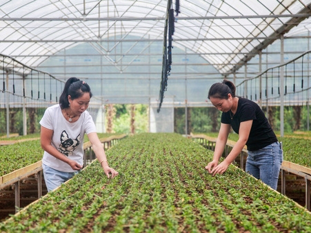 �F���\�����ú��ֵ��YԴ �lչʯ���a�I            �F���\�����ú��ֵ��YԴ �lչʯ���a�I         ���\���h����ʯ����@�C�Ϯa�I�@��ʯ����������Ԓ��δ�䣬����÷�ֵ����^�oʯ������ݣ��S������÷�ֵ��@�^�ȵ�ʯ�������ӹ�����_ʼ�W��ʯ���ļӹ���ˇ��    ����÷���F��ʡ�\���h��կ����ϴ��ˣ�2019�꣬�醾�ѳ�˯�ġ��օ^���������\���h����182.6�f�����ֵ��YԴ�A�x�������lչ�FƤʯ���a�I�����������ϴ������ʯ����@�C�Ϯa�I�@���\����������÷Ҳ�ɞ��һ�����cʯ���a�I�lչ���ˡ�    �\���h�����F��ʡ���c�֘I�h֮һ��ɭ�ָ��w���_72%���ϣ��ֵ��YԴ�S�����^ȥ�s������ɽ�^���F���ӡ������\���hʯ���lչ�a�I��һ��r�g�ԓ�hʯ���Nֲ���������f��Ҏģ���߳���ʯ���a�I�lչ�ġ��\���ٶȡ���Ҳ׌ʯ���ɞ鮔��Ⱥ���͘I���յġ��T·��������÷Ҳ����ڻ��؄չ���ÿ�������õ�3000��Ԫ���Y���������������÷���ɷ�Ҳ�ŗ����V�|�򹤵ęC����������ʯ�����؄չ�������ÿ�¹��Y���fԪ����     