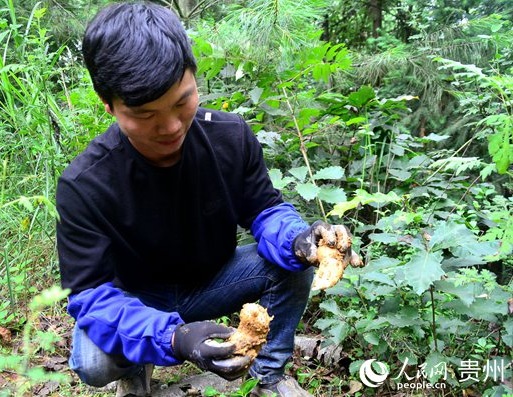 ���°l�鿴�����L�ݡ�            ���°l�����������ɣ������Ҹ�����         ���^��С��Ƥ�w��ڡ��������K���⡱�����ס��������M��͵�ƤЬ������Ҋ���°l�����y׌�˰����c��������f���@���~ϵ����������������@���������۵��˳�֮�Ժ�lչ����Nֲ���I�P����܏��h������ؚ����׃�ɸ�ԣ�塣    1985�꣬���°l�����ڮ����������P�^һ������hɽ��Сɽ�塪���I�P�塣����ɽ����٣��_�ĳɞ鮔�ذ��յĲ���֮�x������Ҳ�����⡣��ÿ������؝�ڣ��ճɅs�������롣�����°l�f��������ĸ�N�صĲ��׺󣬸��ӈԶ����Լ�ͨ�^֪�R��׃���\�����    �x���С��ϴ�W���ҹ������@�����°l���Լ�δ����Ҏ�����������Ԟ�һ�ж�����Ӌ���M�Еr�����\���R�ˡ�2001�꣬ĸ�H��ȥ�����o���°l������ʹ�Ĵ������ĸ�H���ˣ����X����һ�]�����Ĺǡ��������MĘ���ݵĸ��H�̓ɂ����׵ĵܵܣ����°l�����f�������y�^�����a�N���ã����x���Д��W�I�����չ����M���S���Wᄾơ����񹤡���     