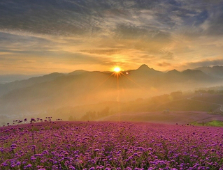          ͩ�����Ƴ���Ʒ���ξ�· �������δ�Y��     ����箋����ԁ��ɽˮԊ�¡�ǭ�彻���ççȺɽ��̎�����ͩ�����ن��h���Ŀ��ˡ�8��16������ͩ���h��ʮһ���l�����ι��_Ļʽ����ͩ���h���w���ξ־��L�l���˾�Ʒ���ξ�·����������......   �Ї�ʮ�ѿ��BС悡���ˮ���Z����ˮ�����Z��ɭ�ֿ��B����,��ȫ��ɭ�ֿ��B����ԇ�c���O��λ���Ї�ʮ�ѿ��BС���ԓ�����������Z��ɭ�ֹ��@���쪚��Ě��l���������ľ��^�ͭh������......�ȱ����Ϫ�壺��ˬ������́��@�Εr�g�����Ŀh�ȱ����Ϫ�����m�mӭ����200�����ؑc�ı����ο͡������ܶ඼�ǻ��^��������Ϫ����񮔳ɡ��h���H�ݡ�����Ӵ����@Щ���ӣ�200�����ؑc�οͻ��S�ڴ�M·�ϼ��Ļ��V������