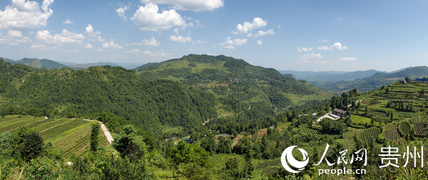 �D���(gu��)�s�l(xi��ng)�ܼ��f����~�ػ����x��ͥ �z