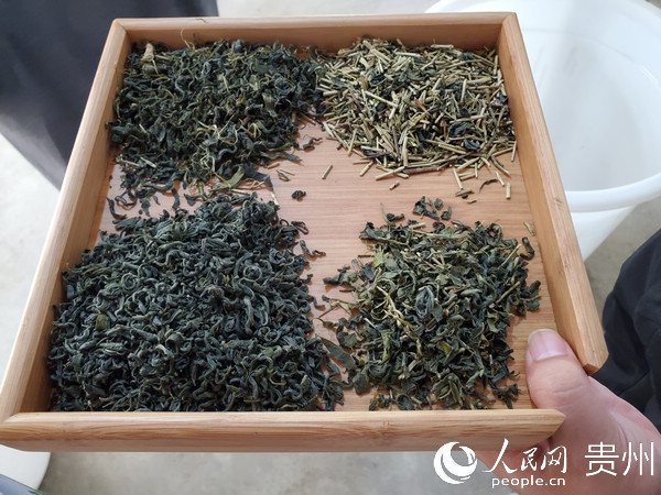 �D�齛��Ӳ��~ɫ�x�C�Y�x��ĮaƷ�����Ϟ�ԭ���~�������Ʒ���x��ͥ �z