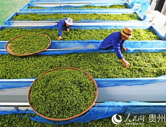 ���~�ӹ�܇�g����˔������ࡣ            �F���״Ό�(sh��)�F(xi��n)����Ĩ��a(ch��n)Ʒ         ����ɫ�YԴ�ͮa(ch��n)�I(y��)�������c(di��n),�F�ݷe�O�_(k��i)�؇�(gu��)��(n��i)��(gu��)�H�Ј�(ch��ng),���M(j��n)���Q(m��o)�Y(ji��)��(g��u)��(y��u)������(j��),������(j��ng)��(zh��ng)��(y��u)��(sh��),�������ࡰ�F���족�ĺîa(ch��n)Ʒ����Ʒ����ȫ������֪���Ⱥ�Ӱ�����    ����һ����,�F�ݲ��~��������һ��һ·���ؾ���(gu��)��؛ֵ�_(d��)2127.2�f(w��n)Ԫ,ͬ�����L(zh��ng)88.3%,�����ل�(chu��ng)�¸ߡ�����ǰ,һ����220ǧ��,؛ֵ1.11�f(w��n)��Ԫ��Ĩ���������������(gu��)֥�Ӹ硣�@���F���F��(���F(tu��n))���޹�˾���a(ch��n)����(y��ng)�o����(gu��)�ǰͿ˹�˾�ĸ߶�Ĩ��,���F���״Ό�(sh��)�F(xi��n)����Ĩ��a(ch��n)Ʒ��    �����F�ݲ�a(ch��n)�I(y��)��(gu��)�H���̶��������I(y��),�F�輯�F(tu��n)���γɡ�����(y��u)�� Ĩ�� �Ʒ�衱�đ�(zh��n)�԰l(f��)չ����,ȫ���Ƅ�(d��ng)�Ƀ�ǭ���ɽ����˾�����L(zh��ng)���t��B�f(shu��),���ڴ_���W�˘�(bi��o)��(zh��n)�Ļ��A(ch��)��,���c(di��n)�ӏ�(qi��ng)��(du��)��@�Ĺ��o(h��)�Լ���ˇ���M(j��n)��˾�a(ch��n)Ʒ��˴��_(k��i)�ˇ�(gu��)�H�Ј�(ch��ng)����Ŀǰ,�F�輯�F(tu��n)��Ʒ�ơ��G��ʯ�����t��ʯ�����W��(bi��o)Ĩ�衱�ѳɹ��M(j��n)������(gu��)���Ĵ���������(gu��)��ɳ�ذ��������¼��¡��Ї�(gu��)��۵�10����(g��)��(gu��)�Ҽ��؅^(q��)������     