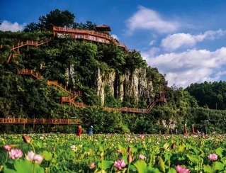 ���ɽ�������̆��� �z            �t������� ʢ��ӭ�́�         �t������⣬ʢ��ӭ�́���9��19�գ���ʮ�������x�Ļ����ήa�I�lչ����ڼt�����^�t������Ժ¡���_Ļ���_Ļǰ������ʡ������и��I�ą��������֞����M�������l�^Ħ��·���^Ħ��ë��ϯס�ӡ�ɏ�ء�����ء����x�辰С悡�����Ʒ�b�֡��ٲ݈@��10�����^���Ŀ��Ҋ�C��������x�мt�����^���ήa�I�İlչ�ɹ������ܺ��I���@���tɫ֮�ǵ�������������    ��������t�����^��ӛ�����мtɫ�����v�����x���¡������Ї��У��Խ��O�L�������Ļ����@�����C���Գ��kȫ���ðl����������c�����ա�һ�˃��������顱��Ҫ�����ڼtɫ�Ļ��YԴ�������lչ�l�����Σ�ͻ�������YԴ���I���á���     