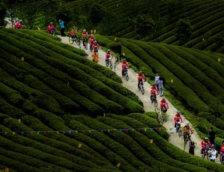 �ɟ���ɽ����܇ِ���F��ʡ�w�ý����lչ���Ĺ��D            ��ʮһ���S���� �F��62�l�w�����ξ�Ʒ��·���ʼ���          9��28�գ��F��ʡ�w�������_����ȫ���w������ʾ���^���¹����Mչ��ͨ��������h�F���l��2020���F��ʡ�w�����ξ�Ʒ��·���Σ���ͨ���F��ʡ�w������ʾ���^������r�������w�����λ��ء��w����ɫС悄������Ρ�    �F�ݱ��u�顰�����\�ӵ����ã��w�����΄ٵء����˴ι�����62�l�w�����ξ�Ʒ��·���wɽ����ɫ���T�С����{��������չ��¶�I����ɽ����ȪƯ�����B��ͽ���˴����}���ɝM�㲻ͬȺ�w�������������⣬�F��ʡ�w����߀����2019���2020���u�x����106�l�w�����ξ�Ʒ��·�У����c����10�l�w�������S��·���ڴ��V������͸����ο��ڡ�ʮһ���S�������g���򿨡��w򞡭��     