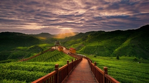 ǭ�����F�����F���B(t��i)��@