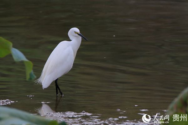 �����ں���߅ЪϢ������ƽ �z