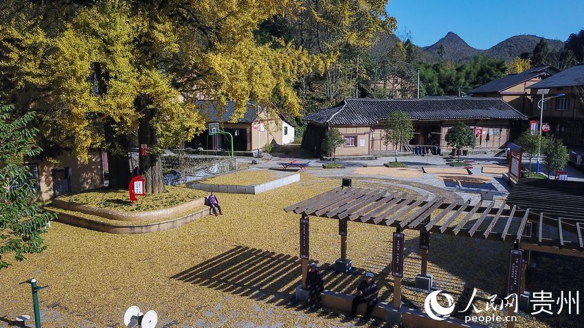 10��22�����մ����οh�t�z�l̫�δ��pľ�������箋����| �z