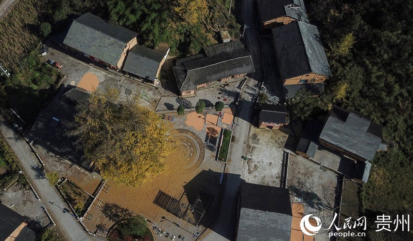 10��22�գ��մ����οh�t�z�l̫�δ��pľ�������箋����| �z