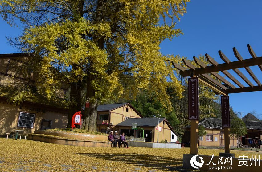 10��22�գ���(w��)�����οh�t�z�l(xi��ng)̫�δ��pľ�������箋����| �z