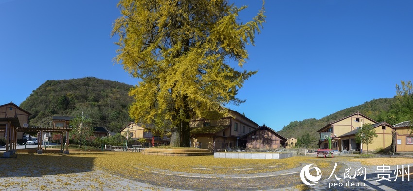 10��22�գ��մ����οh�t�z�l̫�δ��pľ�������箋����| �z