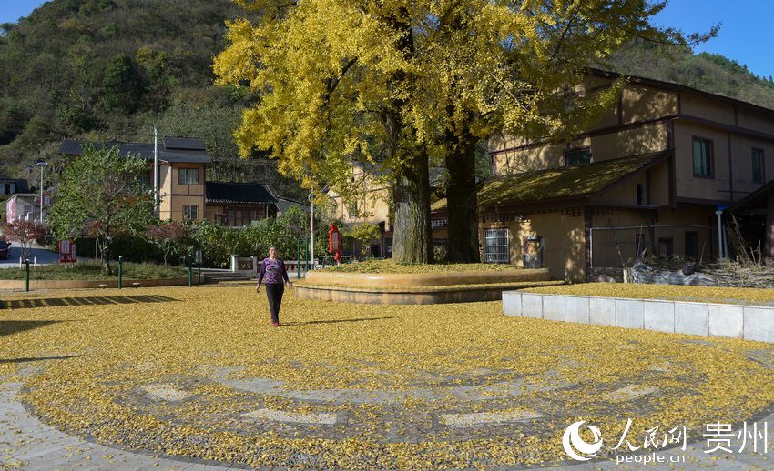 10��22�գ��մ����οh�t�z�l̫�δ��pľ�������箋����| �z