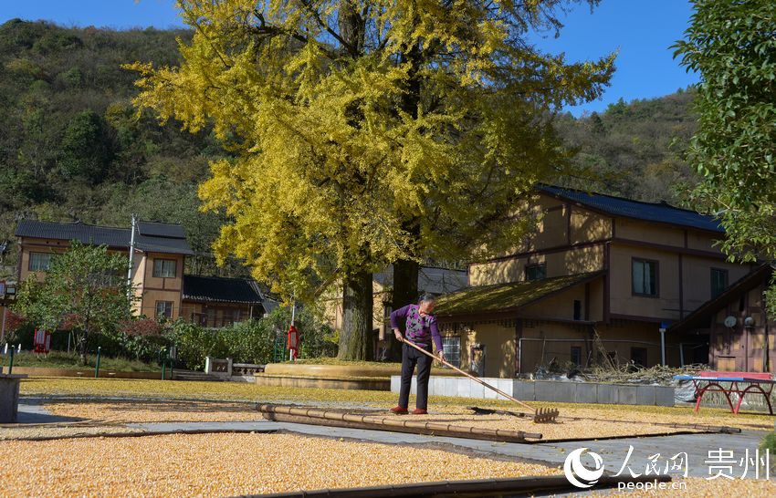 10��22�գ��մ����οh�t�z�l̫�δ��pľ�������箋����| �z