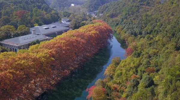 �����Fꖡ��S������ �@��������ԓ�еĘ��ӣ�