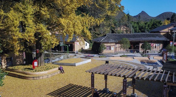 �F�݄մ����y���S��ɫ��������M�D��