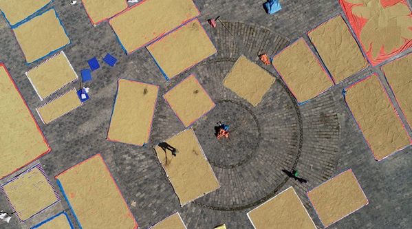 �F�ݵ�կ��˪���� ���æ������M�D��