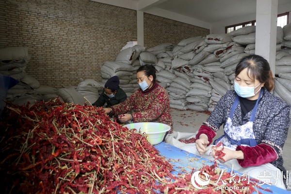 �������ڷ֒������������� �z