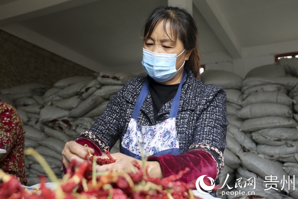 �������ڷ֒������������� �z