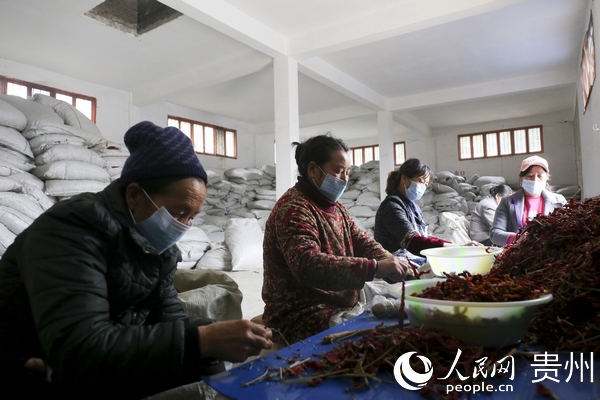 �������ڷ֒������������� �z