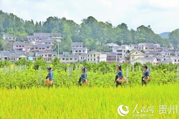 �ٻ����(zh��n)�����Ǵ�һ�����^ɽ���^(q��)��ý�w���Ĺ��D