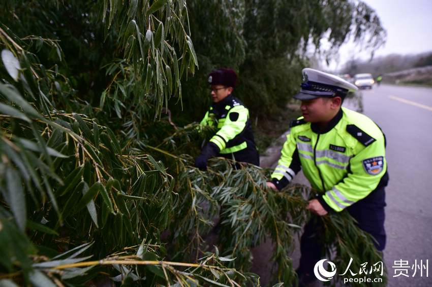 12��15�գ�����ʡ��S311����կ�h����ƺ·�����·�ϡ�