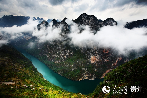 ���P���{�ȡ�