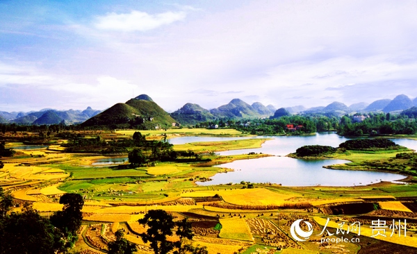 ��ɫ����������L����