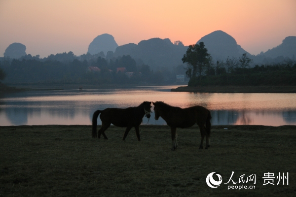 �����ӡ�