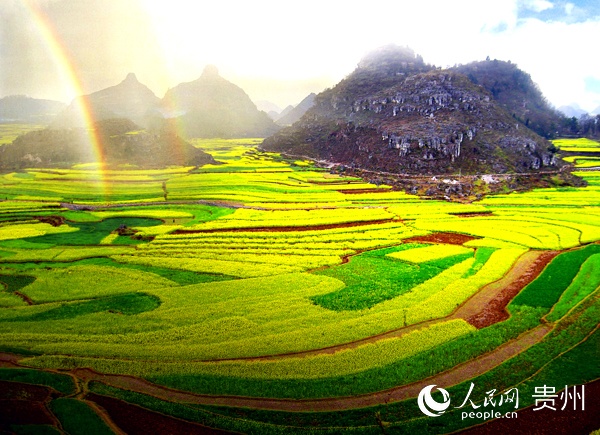 ��������@�L(f��ng)�⡣