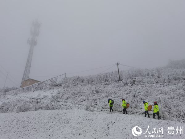 �F���Ƅӓ����ˆTͽ�����޸�ɽ��վ���F���Ƅӹ��D