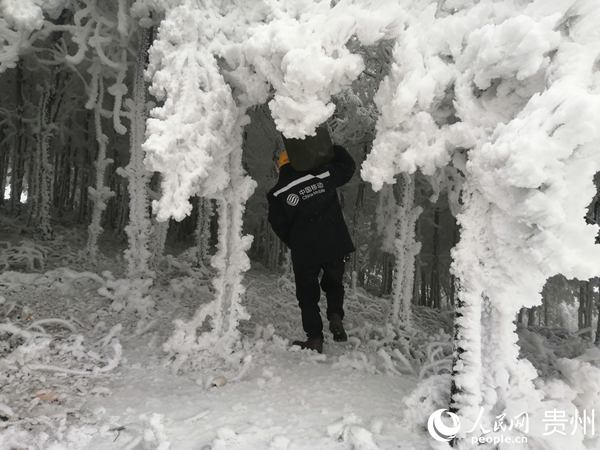 �F���Ƅ�(d��ng)�����ˆT�翹��Ͱð���Ⓦ�޻�վ���F���Ƅ�(d��ng)���D