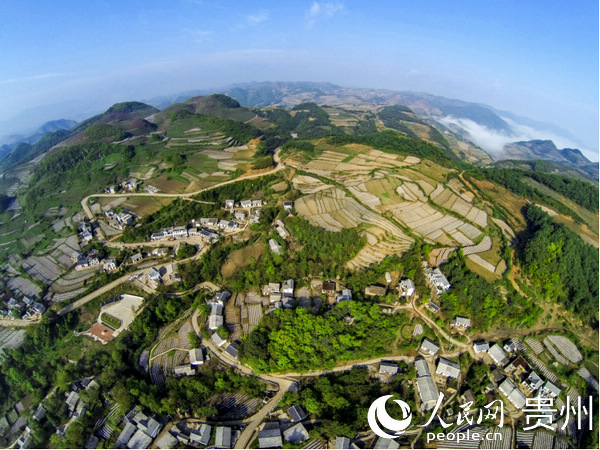 曾經(jīng)“苦甲天下”的海雀村,如今面貌煥然一新。李勇 攝