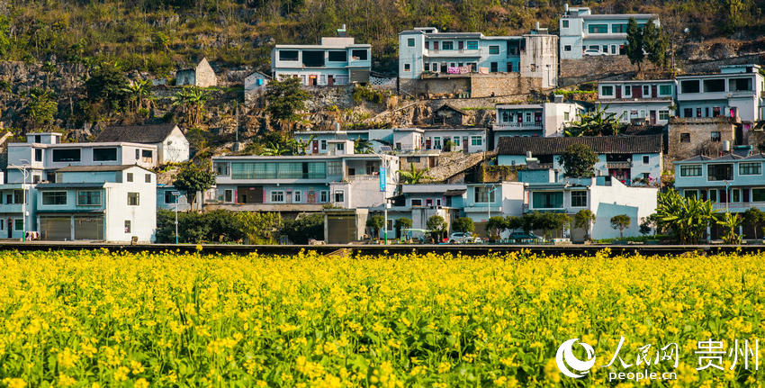 ���f����Ͳ˻�ʢ�_